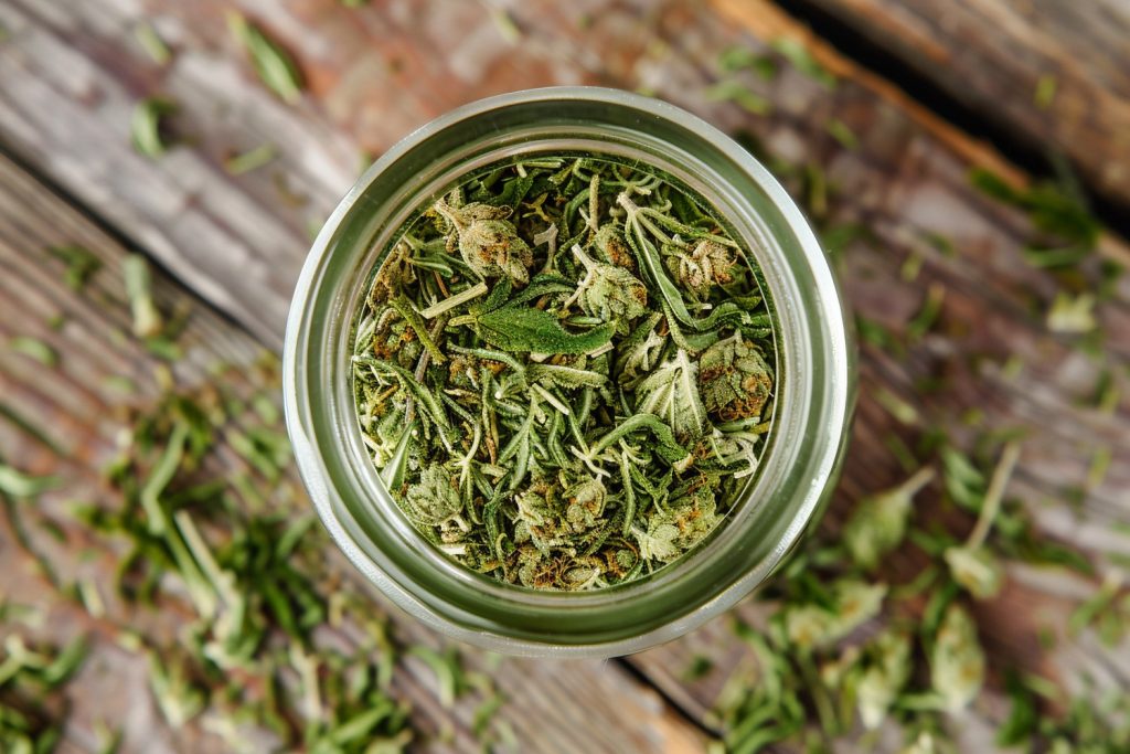 bourgeons de cannabis dans un bocal en gros plan avec des feuilles fraîches.